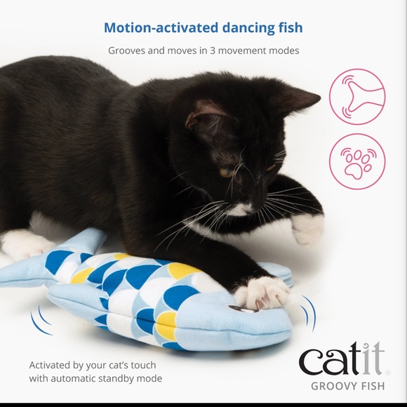 Cart Groovy Fish - Picture 3 of 5